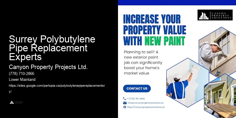 Affordable Polybutylene Pipe Replacement Near Me