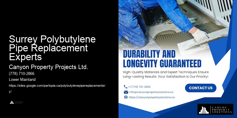 Trusted Polybutylene Pipe Services Surrey Polybutylene Pipe Replacement Experts