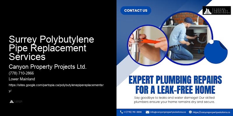 Polybutylene Pipe Replacement Benefits Surrey Polybutylene Pipe Replacement Services