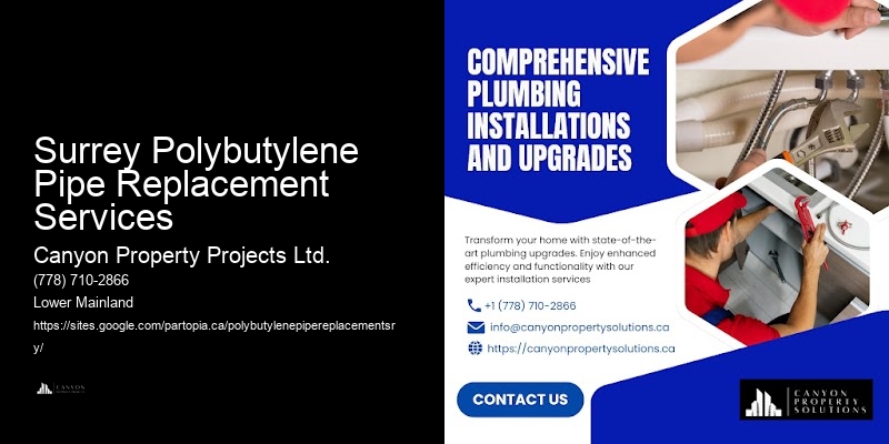 Quick Polybutylene Pipe Replacement Near Me