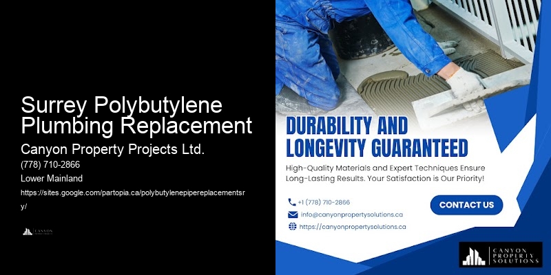 Polybutylene Plumbing Contractors Surrey Polybutylene Plumbing Replacement