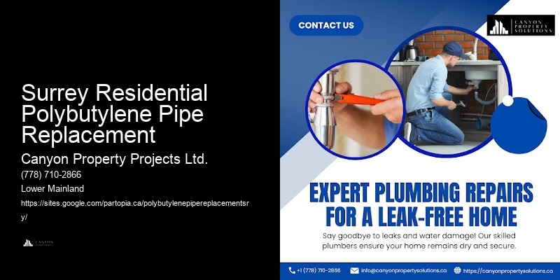 Polybutylene Plumbing Replacement Services Surrey Residential Polybutylene Pipe Replacement