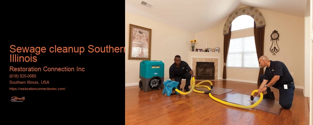 Sewage cleanup Southern Illinois