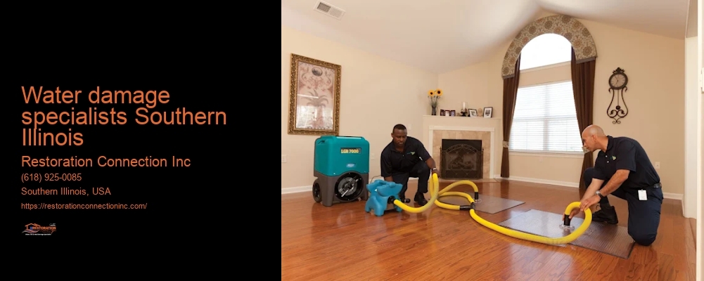 water damage specialists Southern Illinois