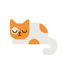 Orange & White Cat 