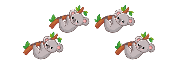four koalas