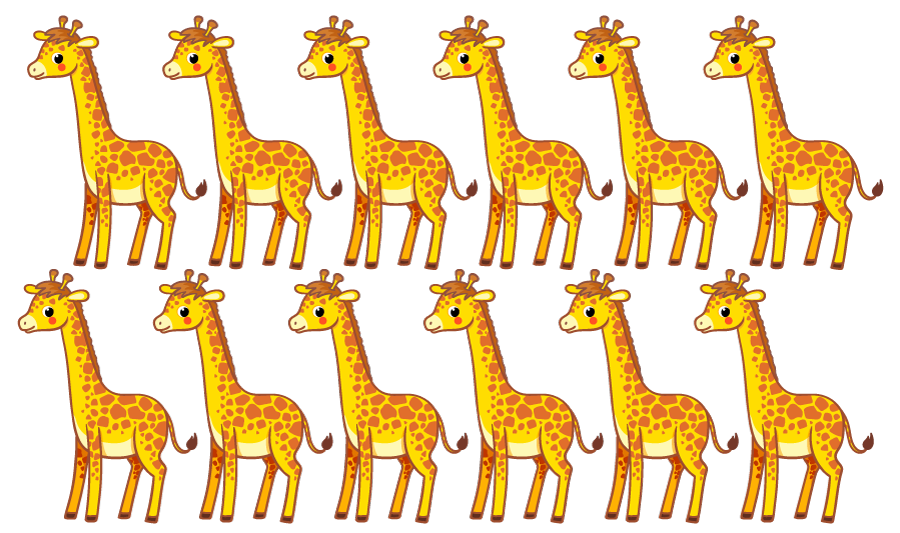 12 giraffes