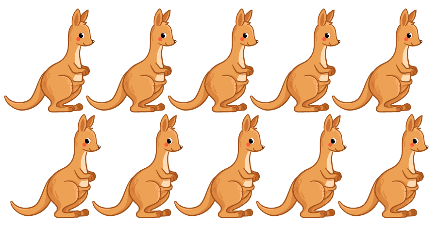 10 kangaroos