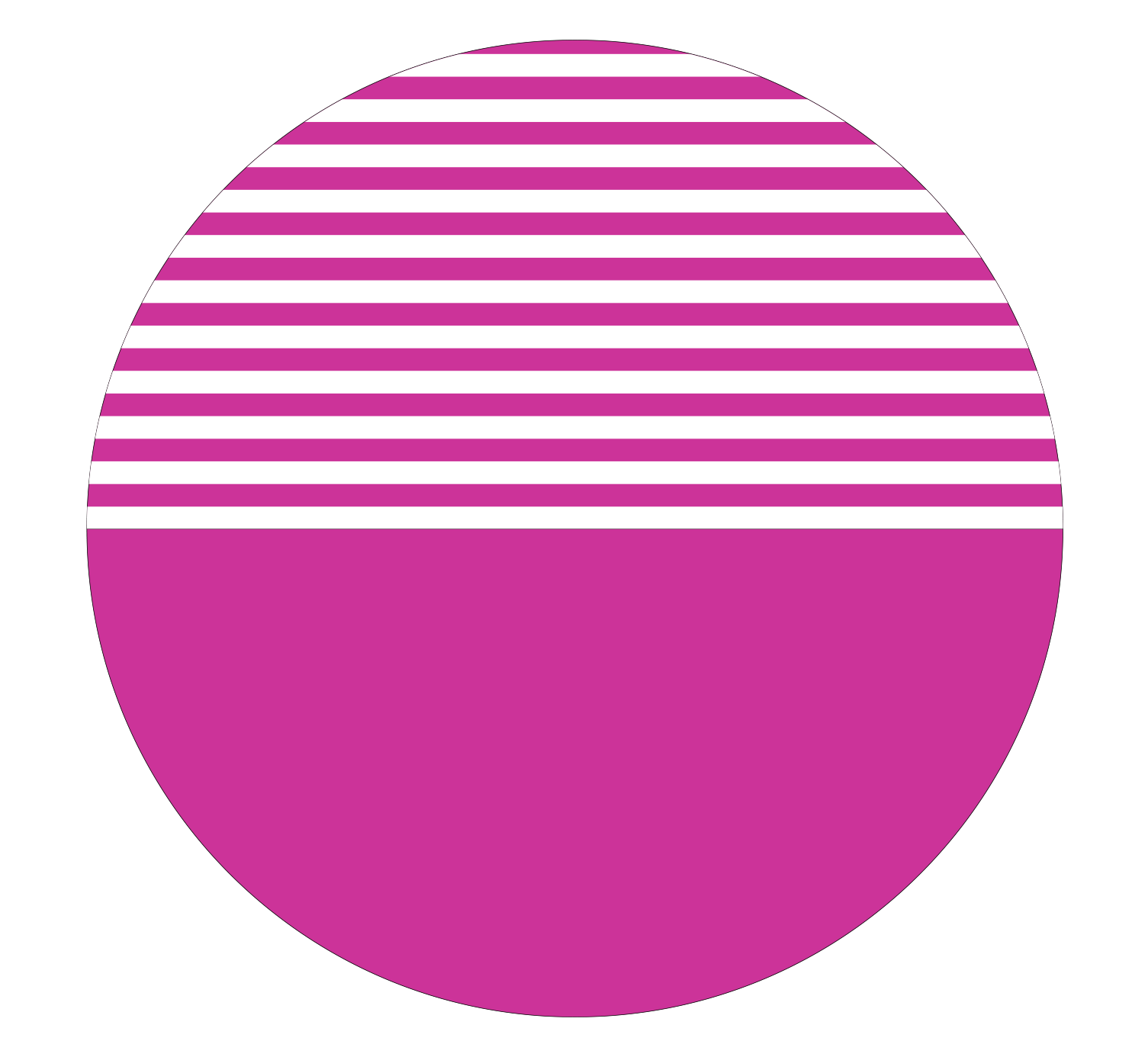 Circle divided into 12 unequal parts