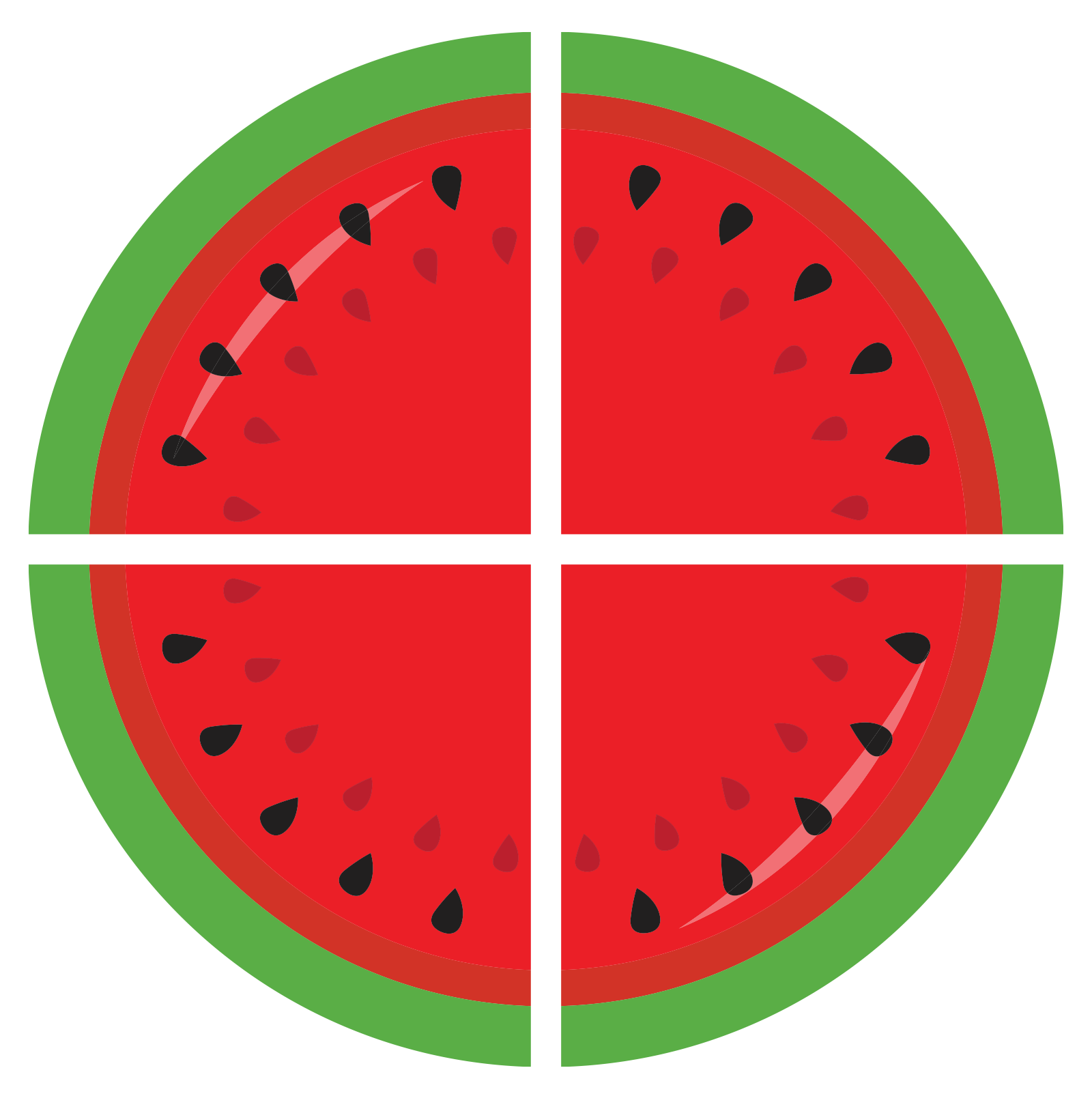 Watermelon split into 4 equal parts