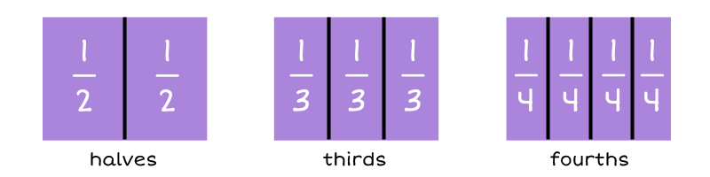 Halves Thirds and Fourths