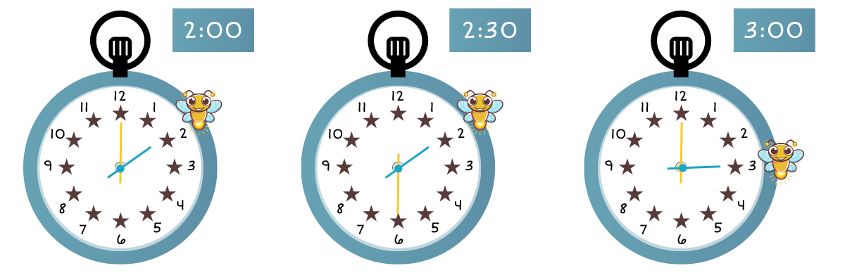 2:00, 2:30, and 3:00.