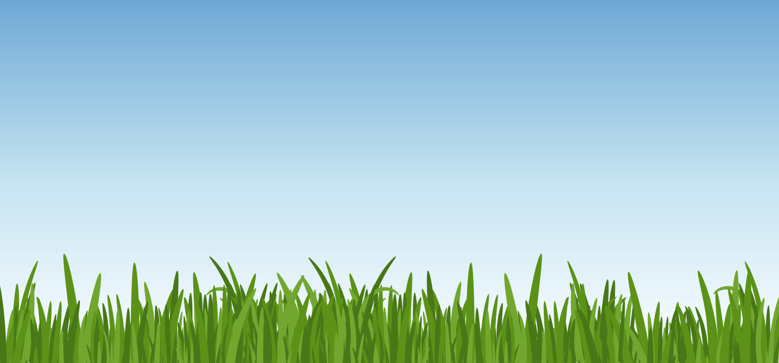 Grass with 5 flowers