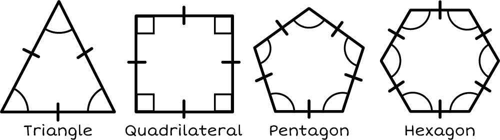 A triangle, a quadrilateral, a pentagon, and a hexagon
