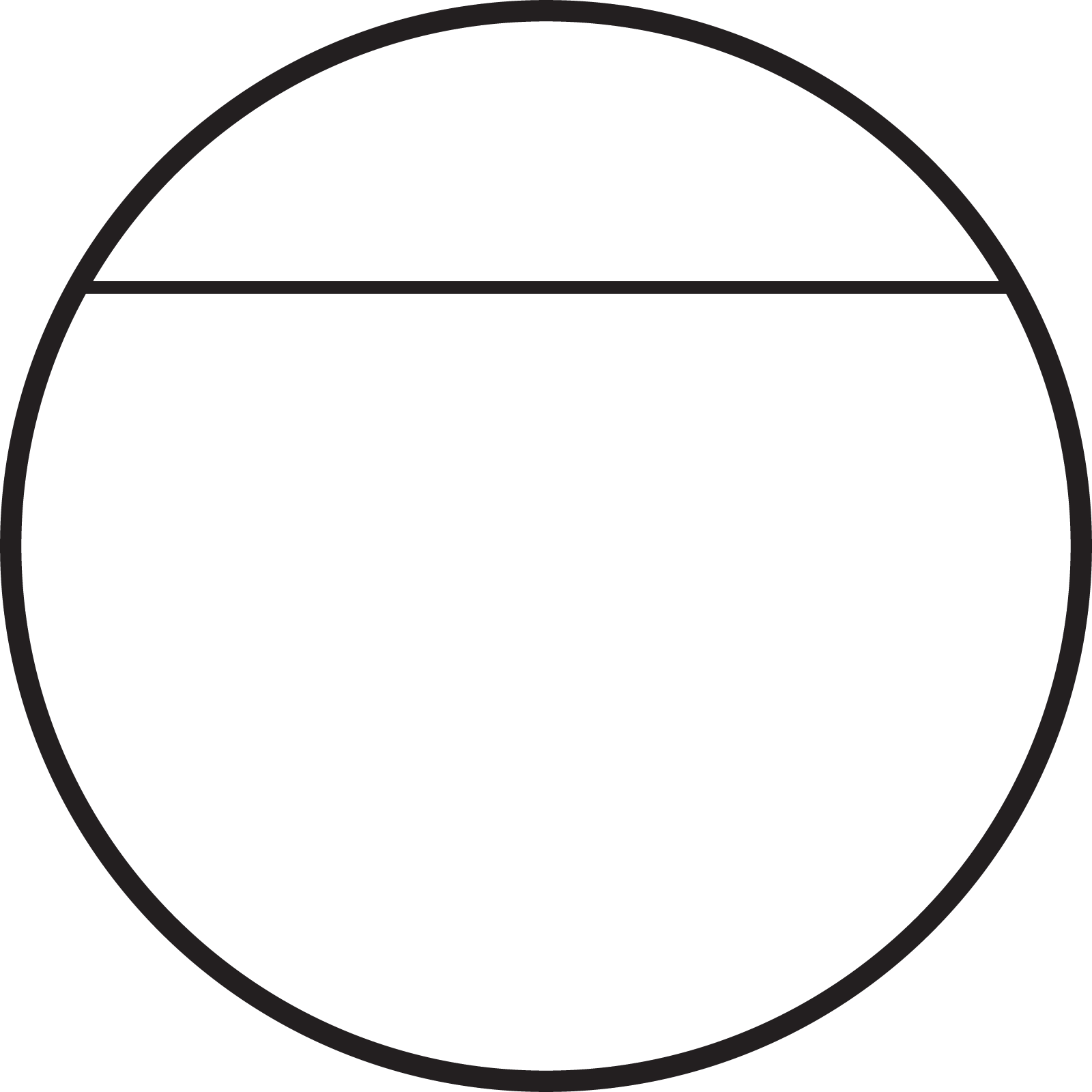 A circled improperly partitioned into 2 equal parts.