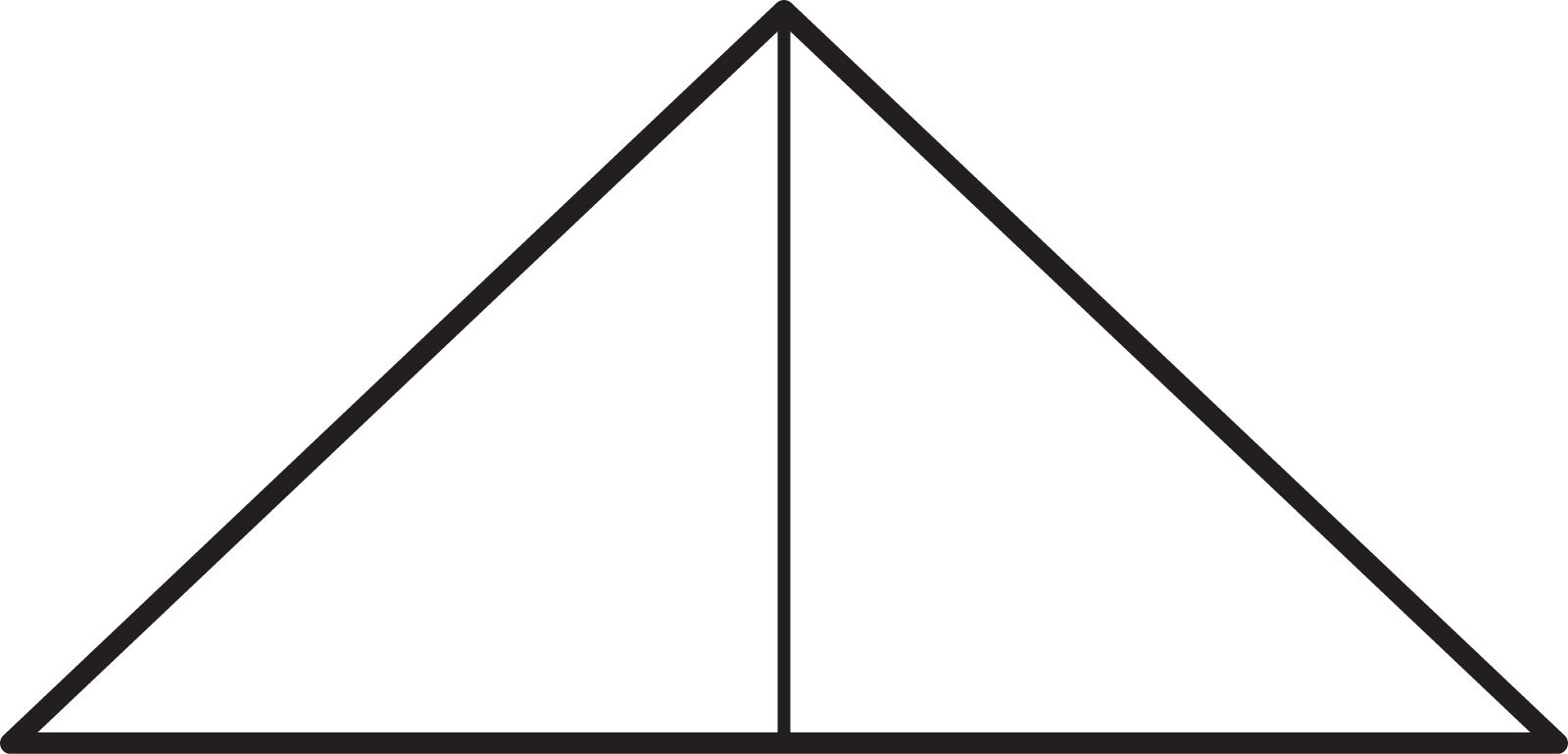 A triangle partitioned into 2 equal symmetrical parts