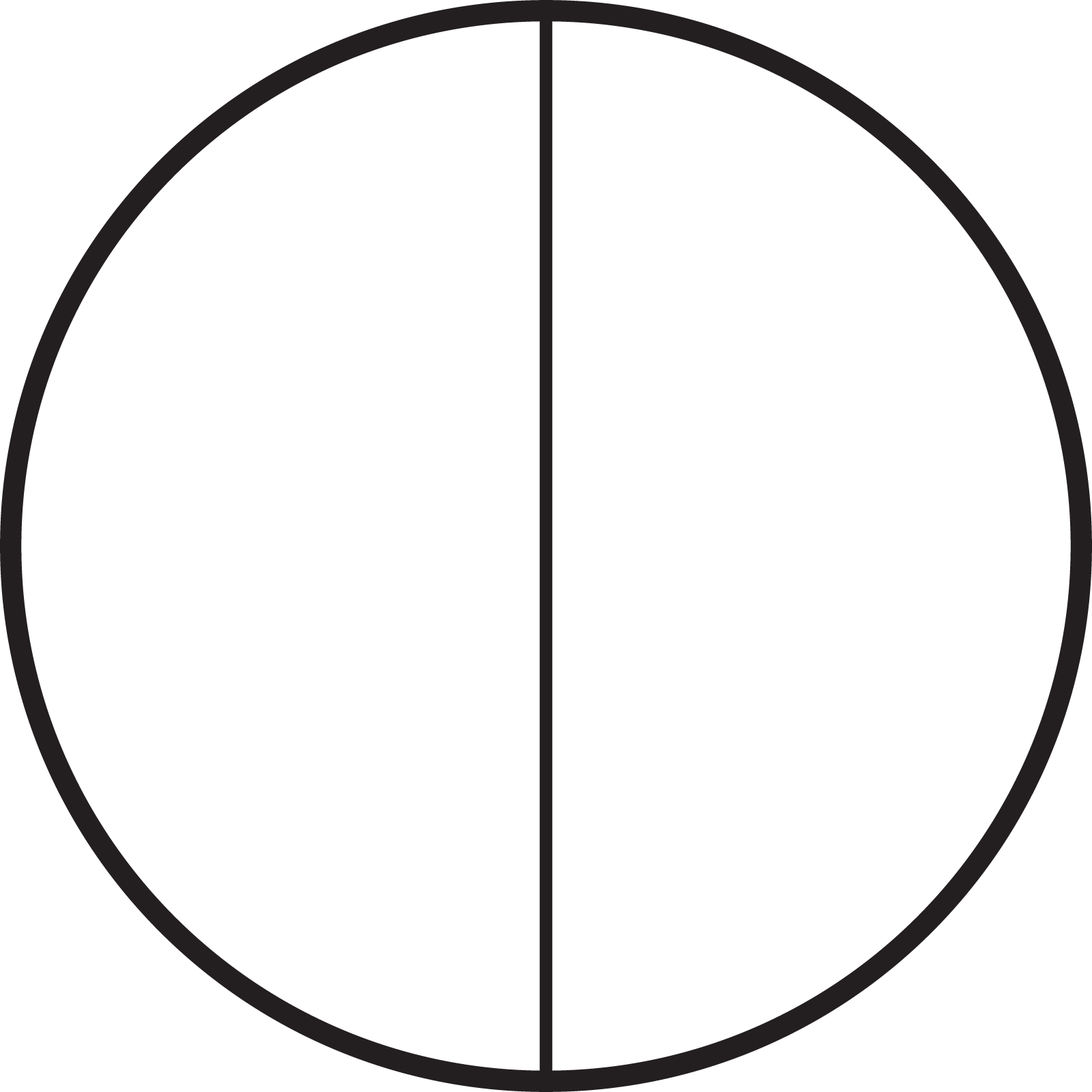 A circle partitioned in half with a vertical line.