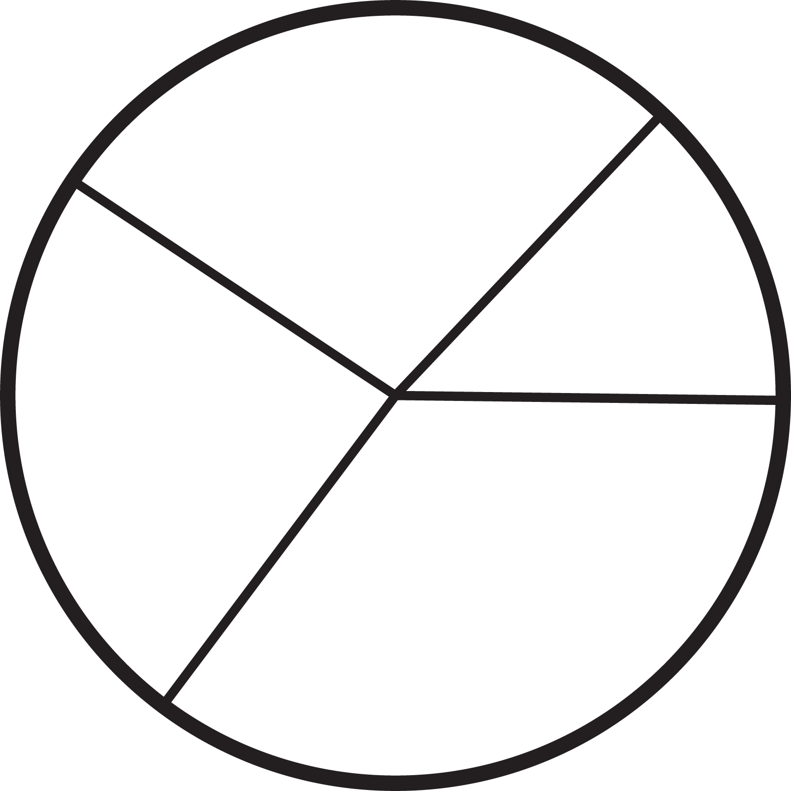 A circle partitioned into 4 unequal parts.