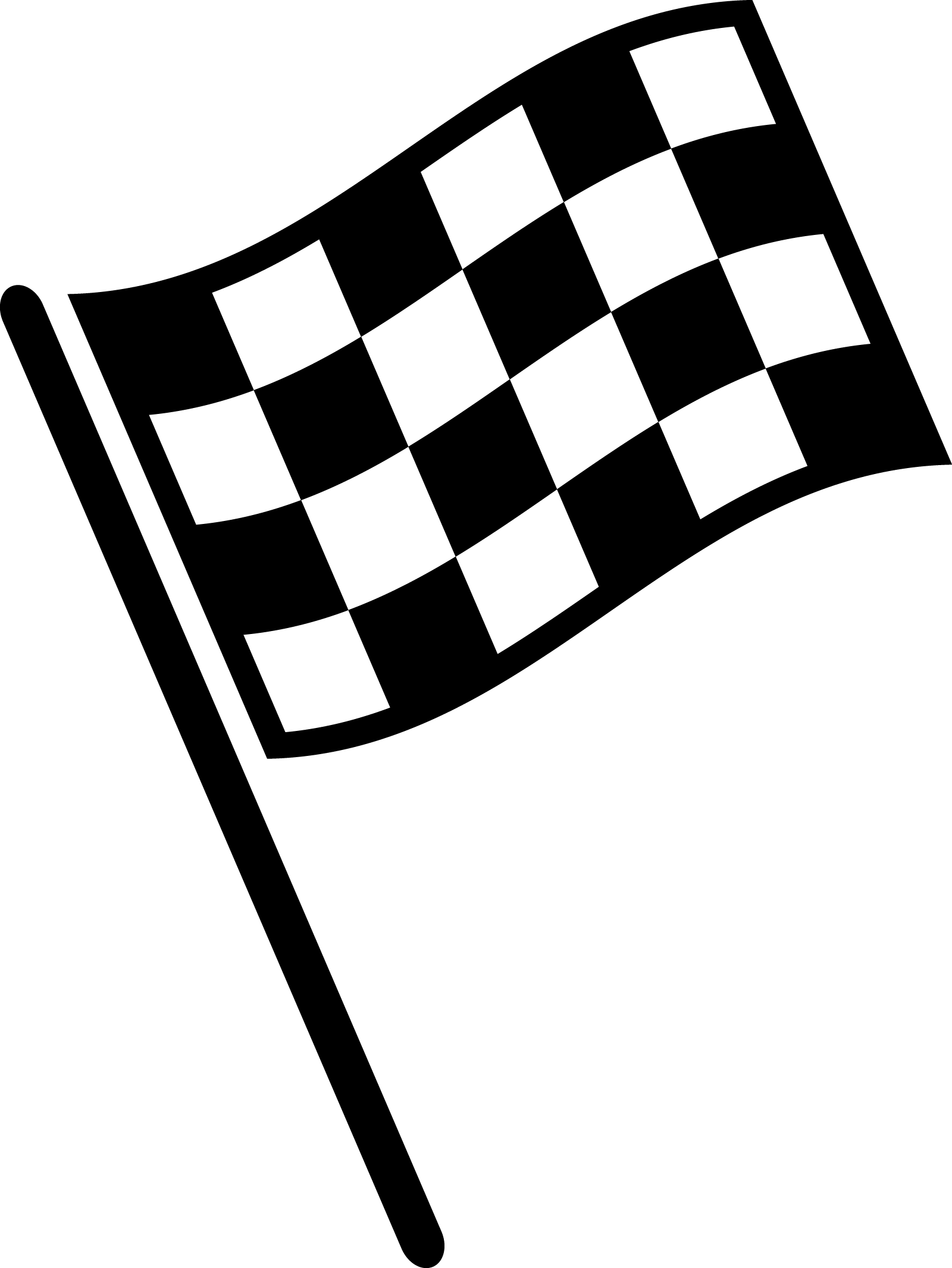 A checkered flag partitioned into 4 rows and 6 columns. 