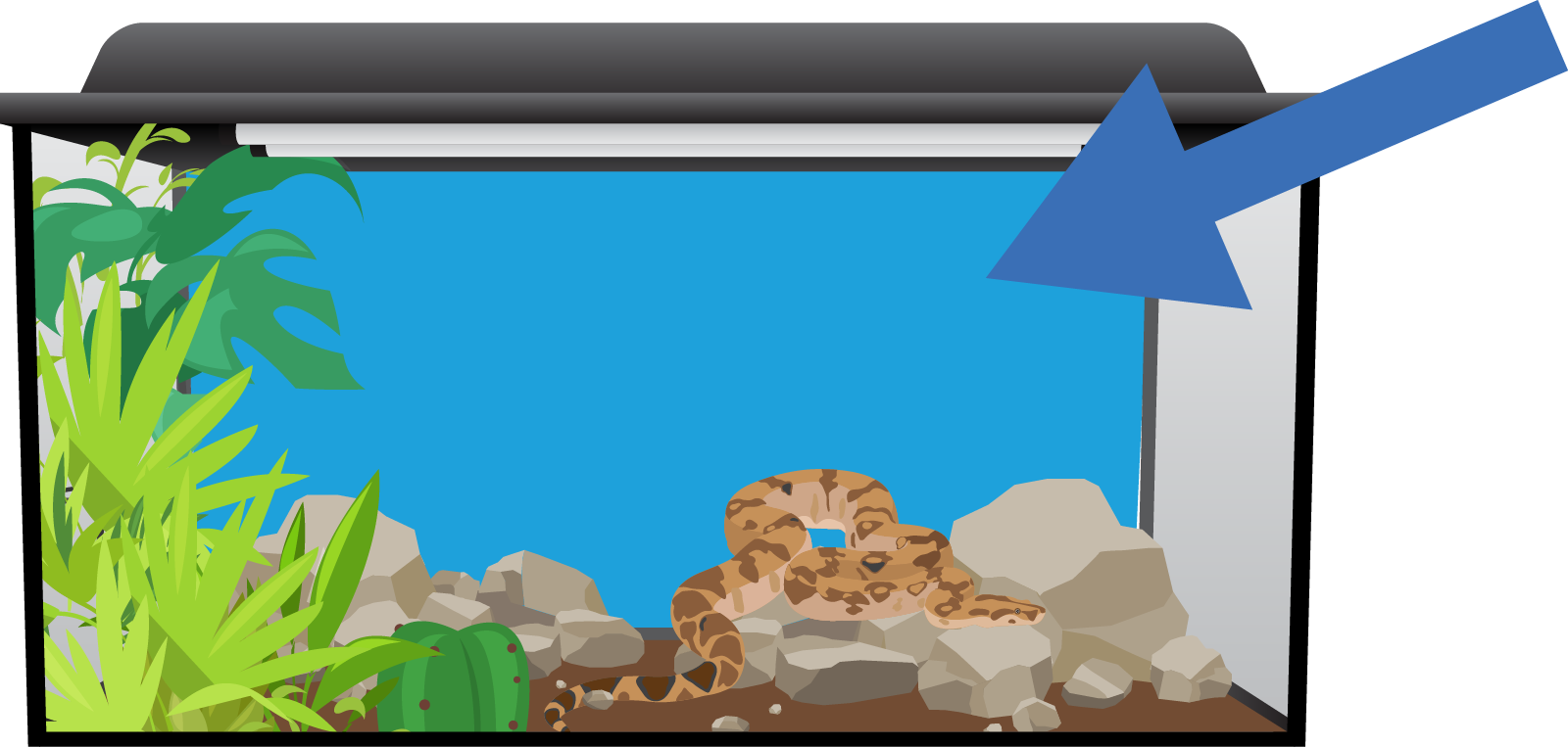 An aquarium with a boa constrictor.