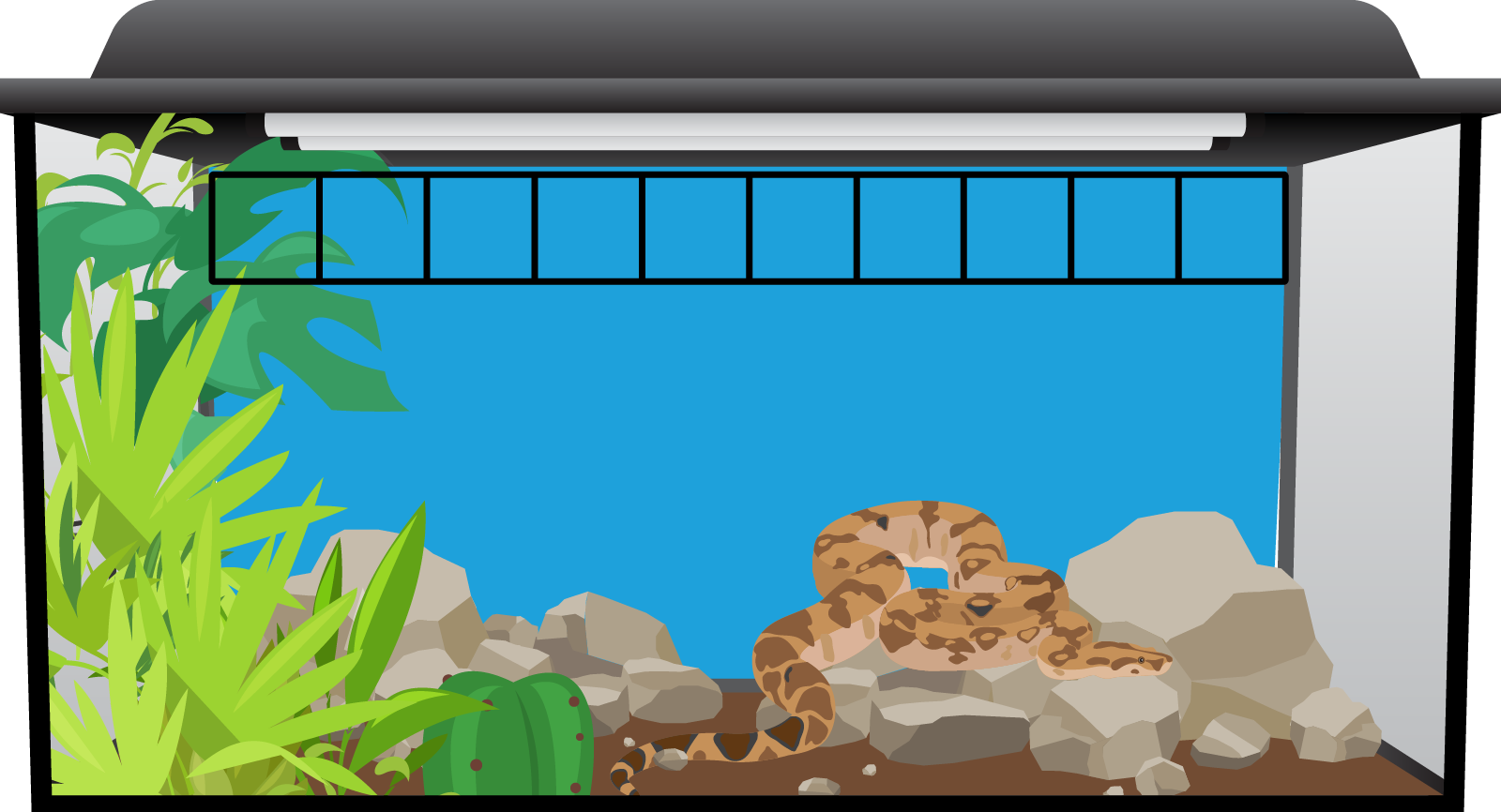 An aquarium with a boa constrictor the length of the aquarium is 10 units long.