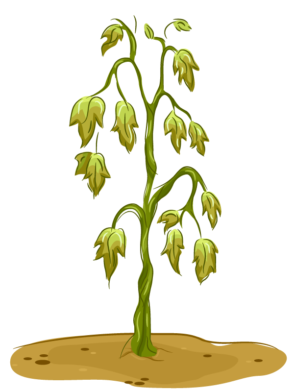 a graphic with drooping green leaves and dry soil