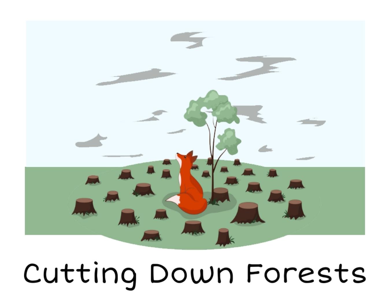 ALTTEXT: Enter key opens full-screen view with caption; escape key exits full screen.