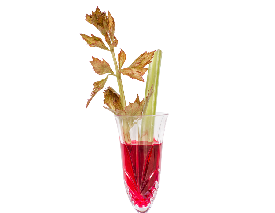 Celery experiment showing evaporative transport in plants and cohesion and adhesion of water. Science investigation with red and blue food dye in crystal glass.