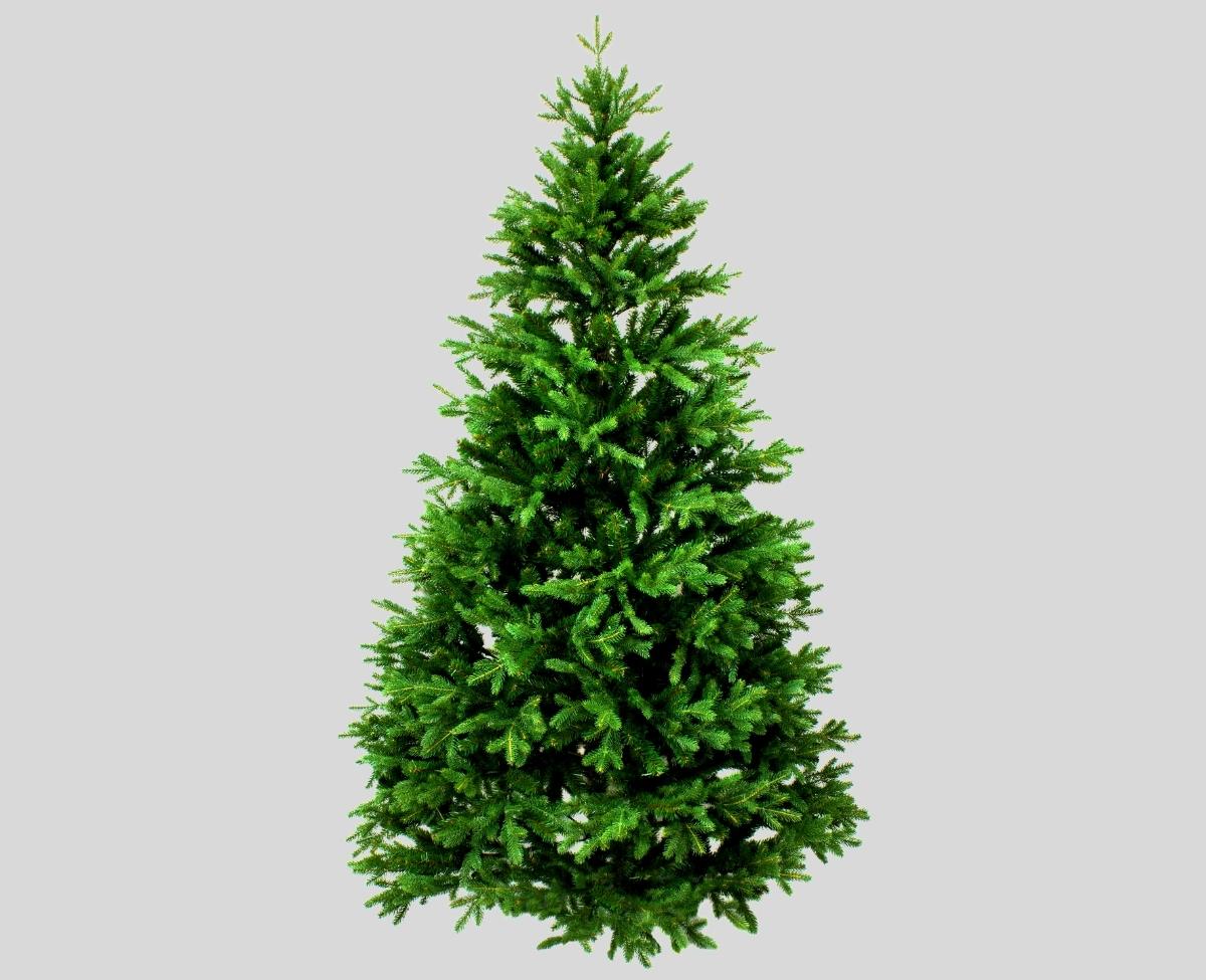 ALTTEXT: Enter key opens full-screen view with caption; escape key exits full screen.