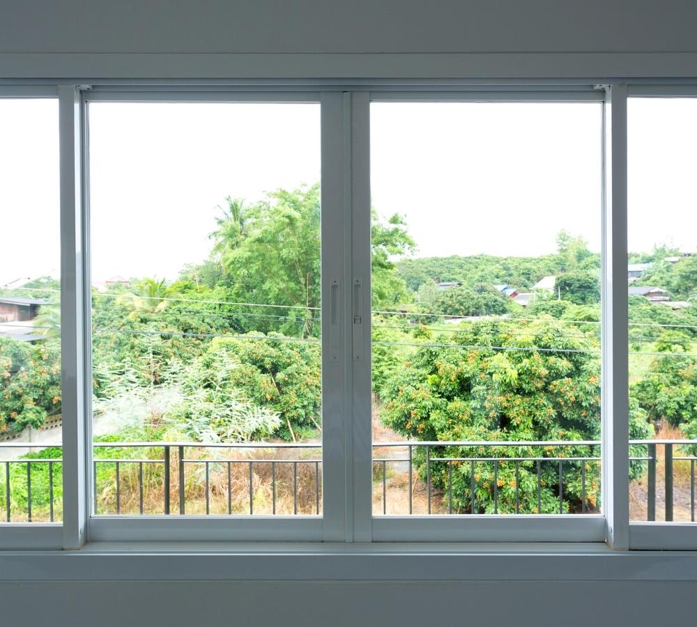 glass window showing plants outside