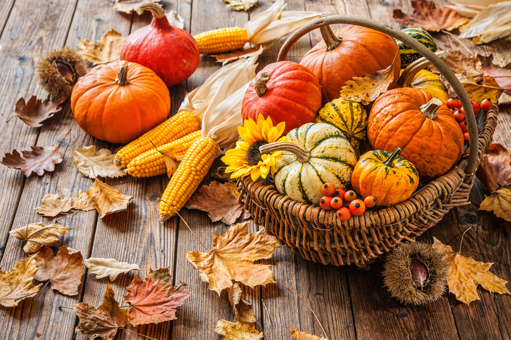 basket full of pumpkins and autumn leaves around it