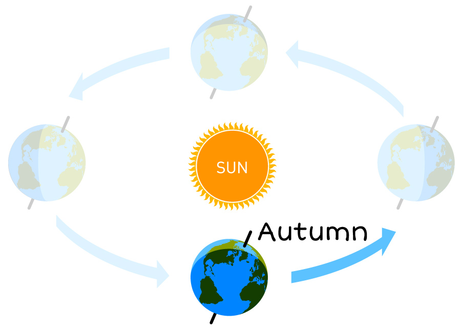 a graphic of Earth traveling around the Sun. It is in the Autumn position.