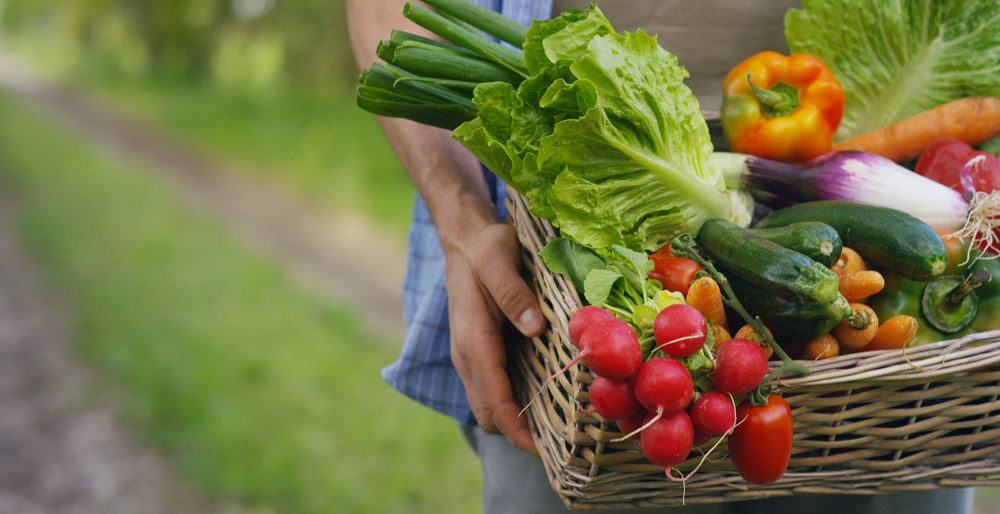 basket of mixed vegetables