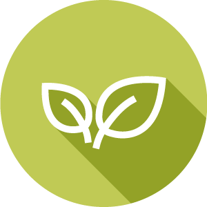 a graphic of a spring leaf