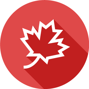 a graphic of a maple leaf