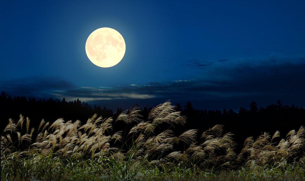 a full moon over the grasslands: Enter key opens full-screen view with caption; escape key exits full screen.