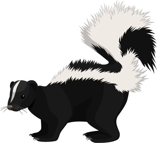 skunk