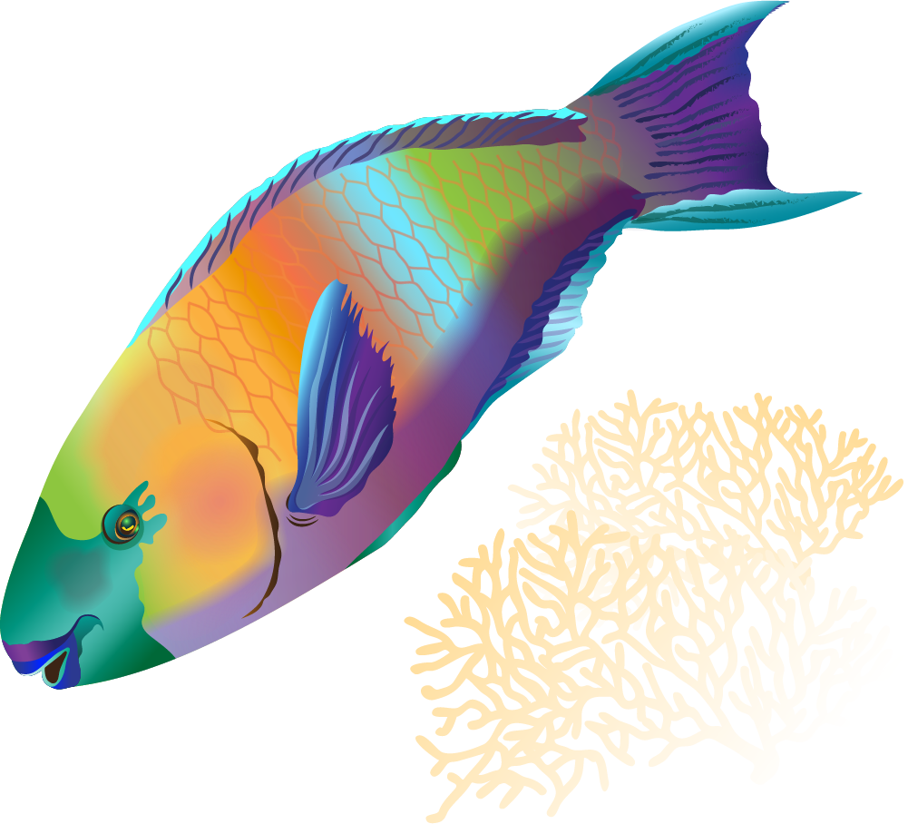 Parrot Fish