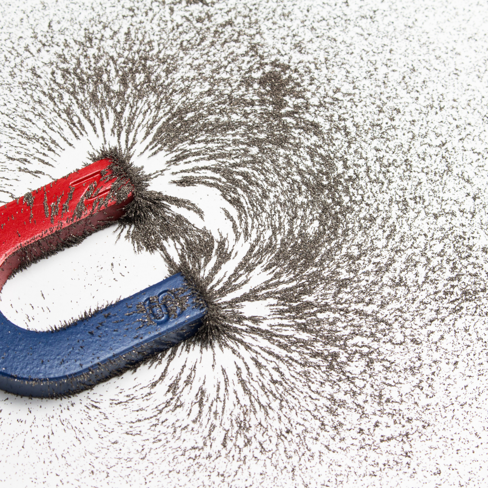U shaped magnet with hundreds of dark grains being attracted to each end.