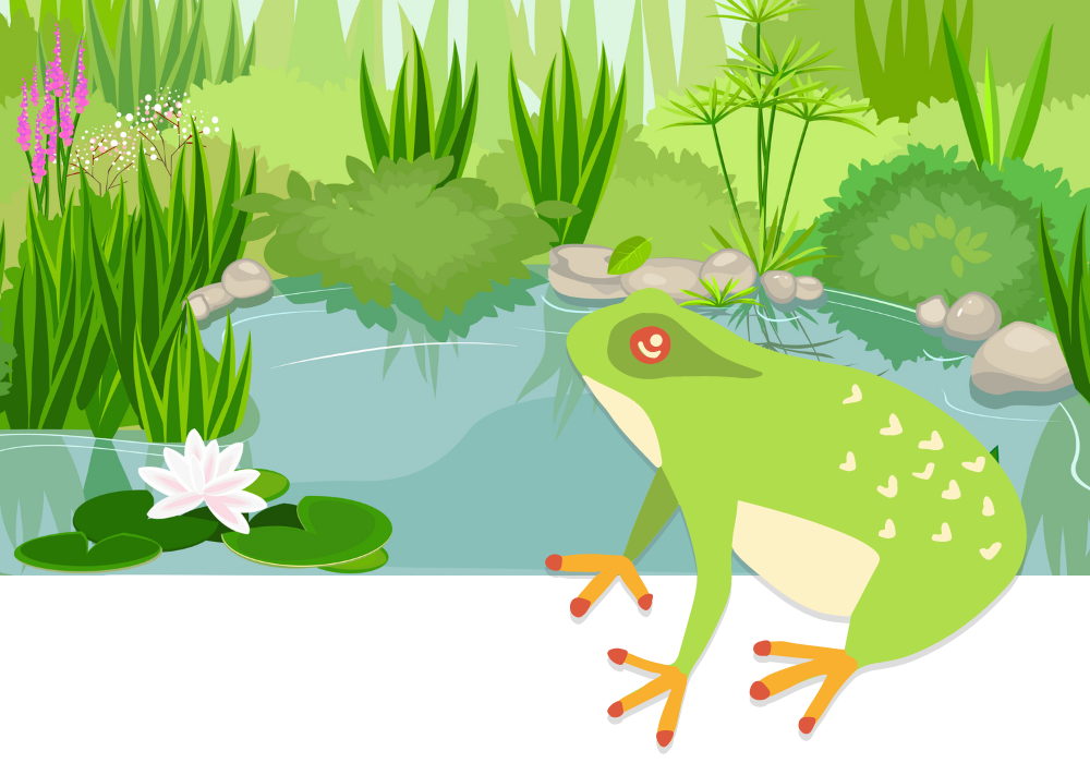 ALTTEXT: Enter key opens full-screen view with caption; escape key exits full screen.