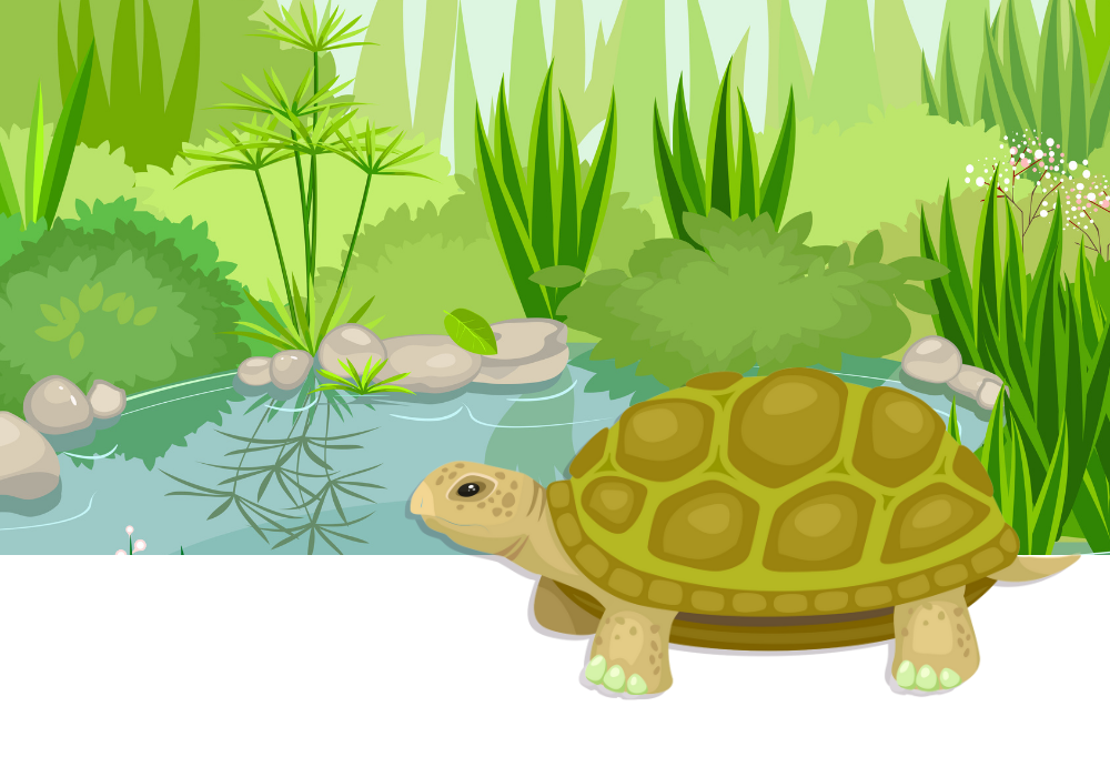 ALTTEXT: Enter key opens full-screen view with caption; escape key exits full screen.