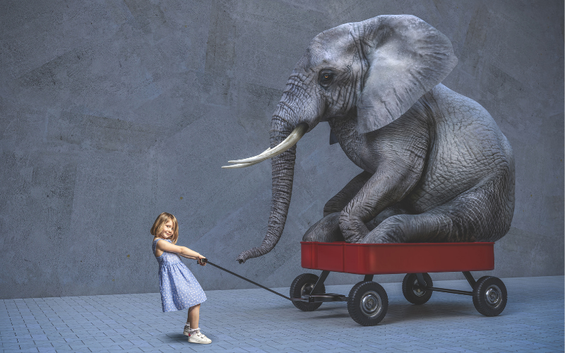 small girl pulling elephant in wagon: Enter key opens full-screen view with caption; escape key exits full screen.