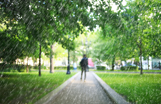 park scene in the rain.