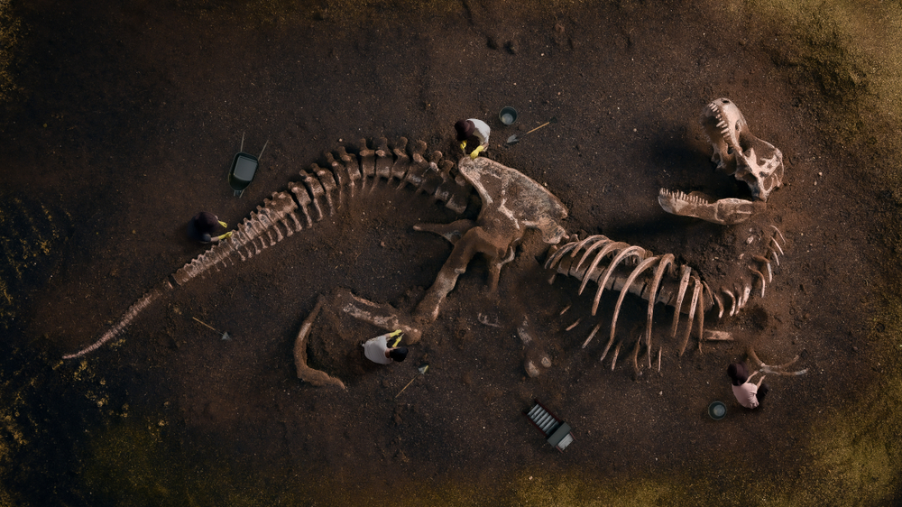 T-Rex fossil being dug up by paleontologists