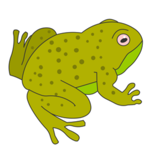 Illustration of green adult frog