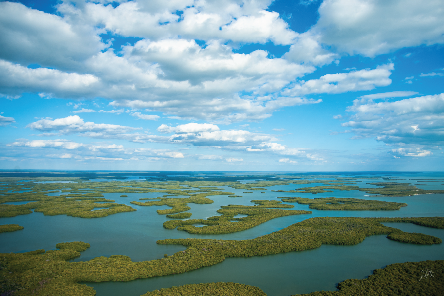 ALTTEXT: Enter key opens full-screen view with caption; escape key exits full screen.