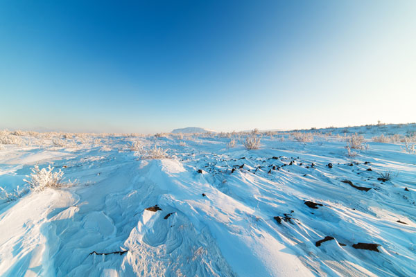 A cold harsh wind slope with a few barren rocks breaking the surface.