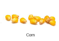 Corn