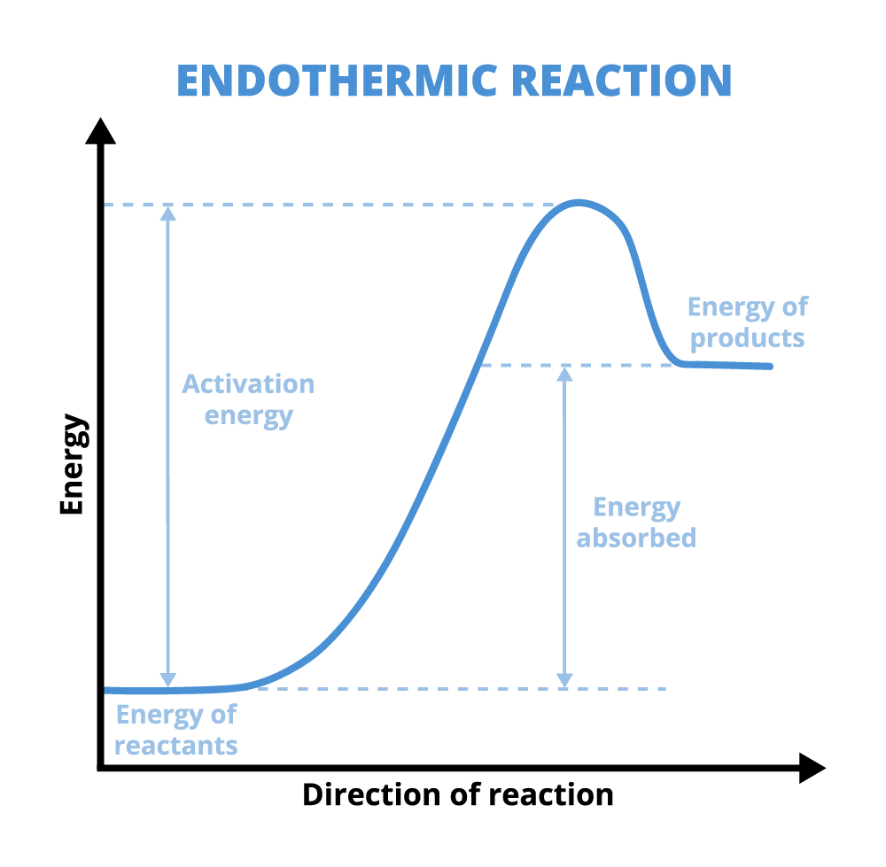 Graph of endothermic reaction: Enter key opens full-screen view with caption; escape key exits full screen.
