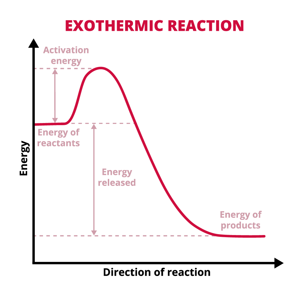 Graph of an exothermic reaction: Enter key opens full-screen view with caption; escape key exits full screen.